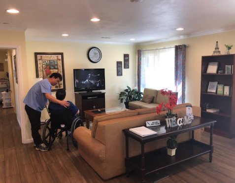 Nurse and elderly in the living room